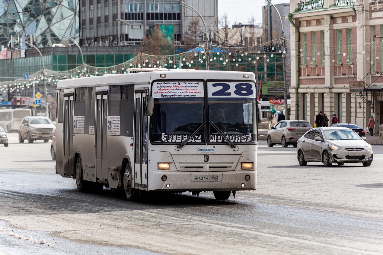 В Новосибирской области ГИБДД будет проверять автобусы после аварии на  трассе