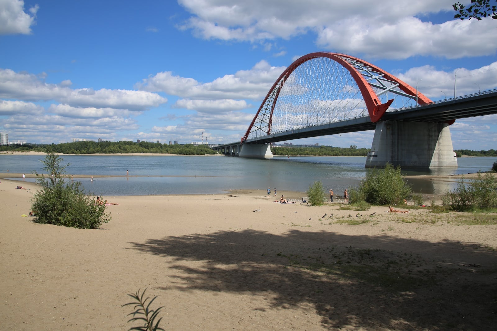 бугринский пляж новосибирск