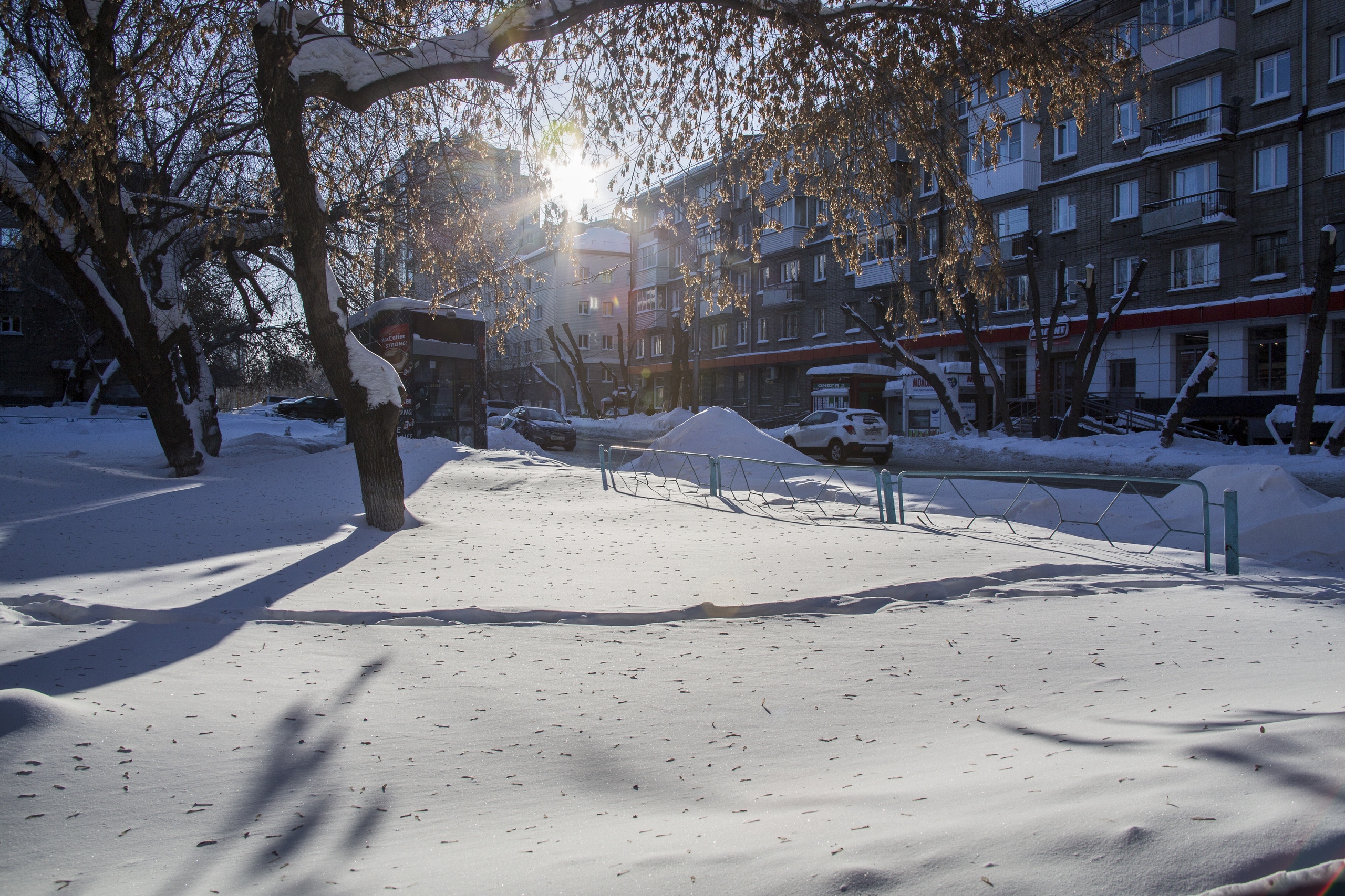 Потепление в новосибирске