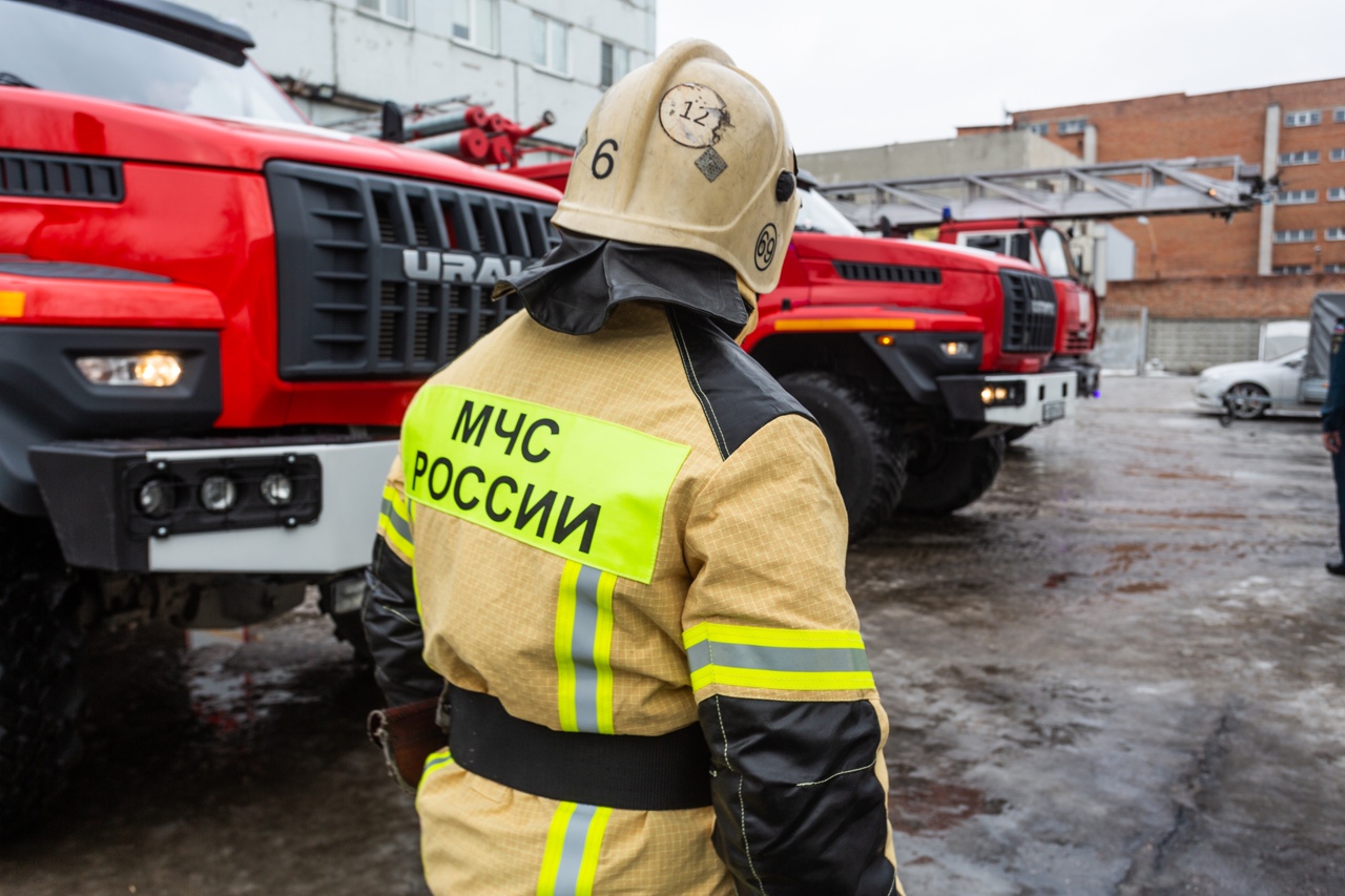 В Новосибирске сотрудники спасательной службы сняли с дерева 10-летнего  мальчика