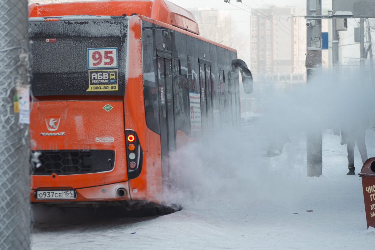 В Новосибирске школьники на каникулах смогут бесплатно ездить на транспорте