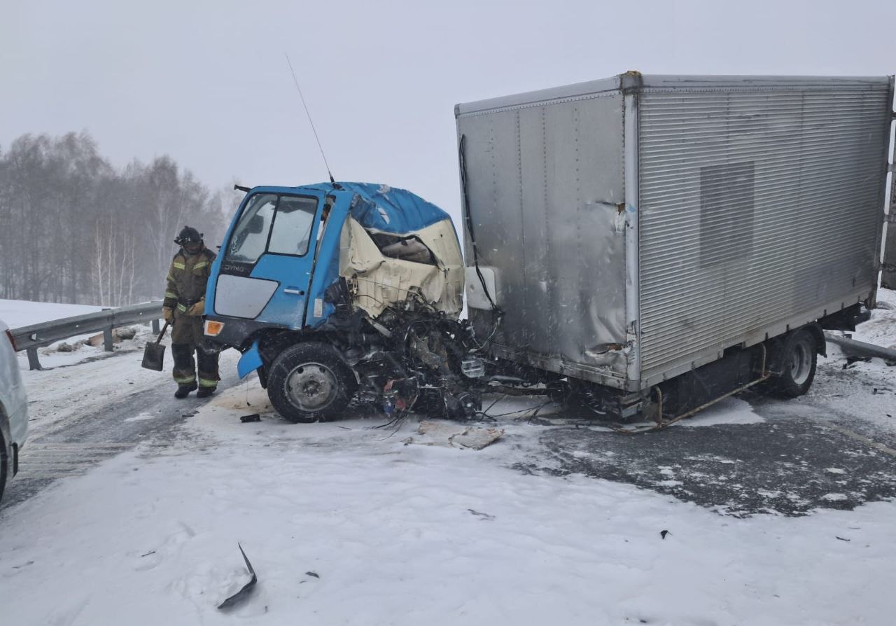 В ДТП на трассе в Новосибирской области погиб водитель грузовика