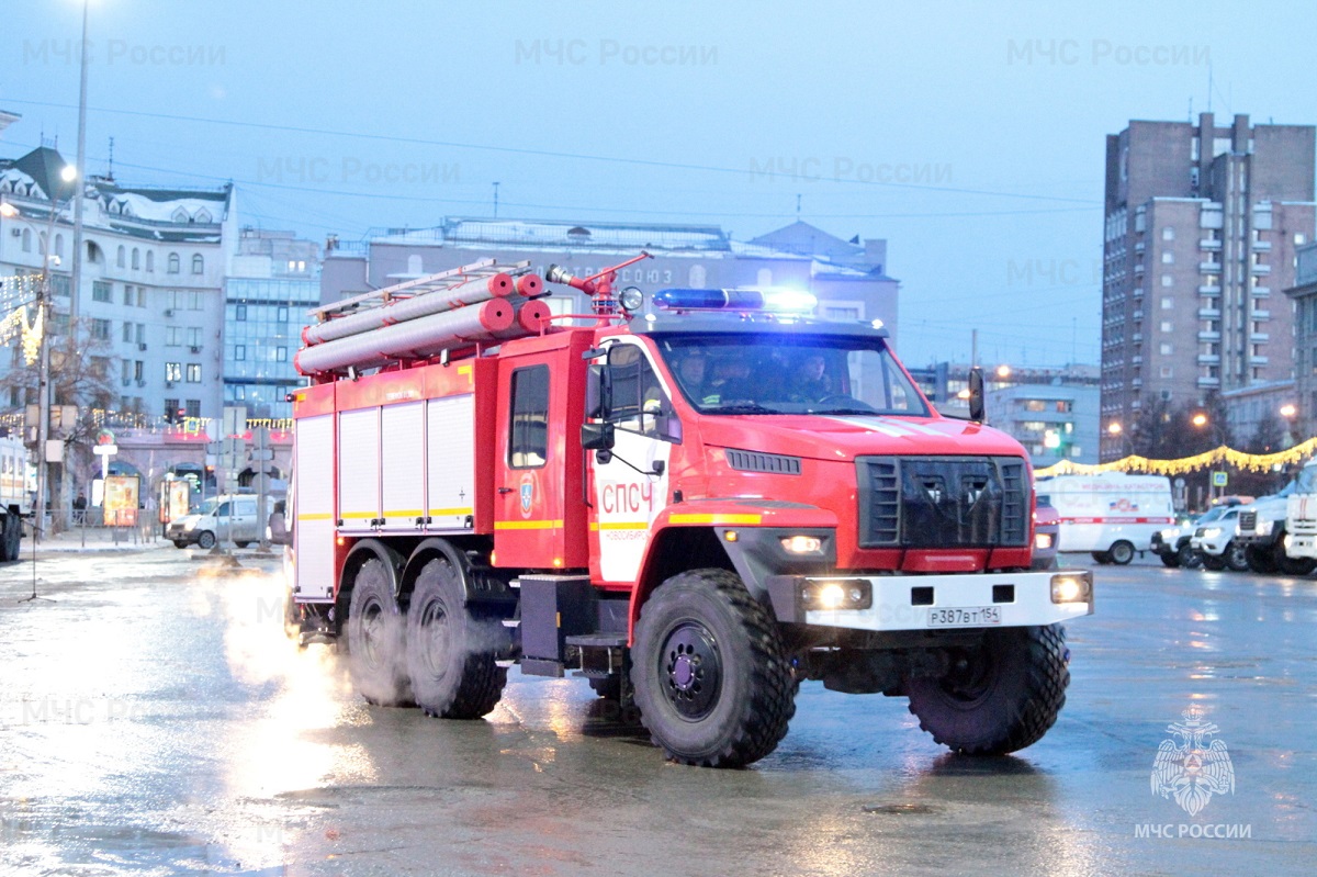 В Новосибирской области за неделю в пожарах погибли три человека