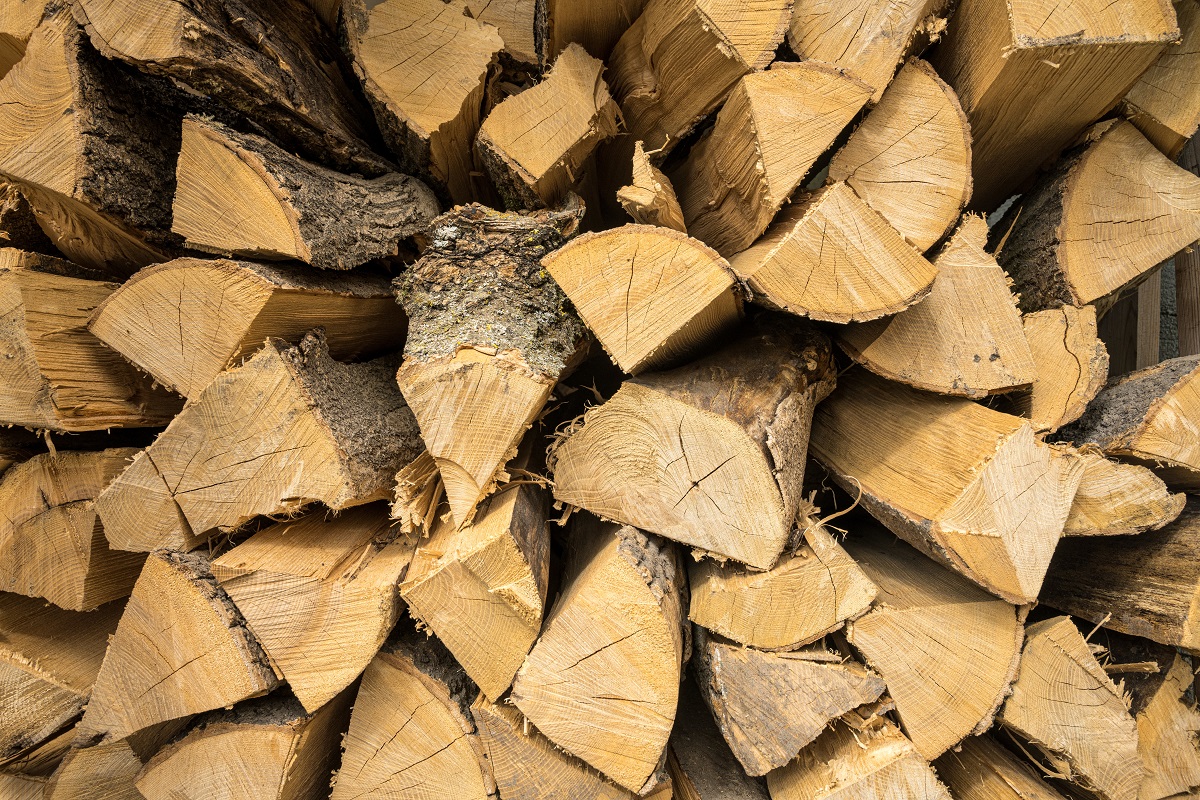 Какие категории граждан получат в отопительный сезон дрова бесплатно