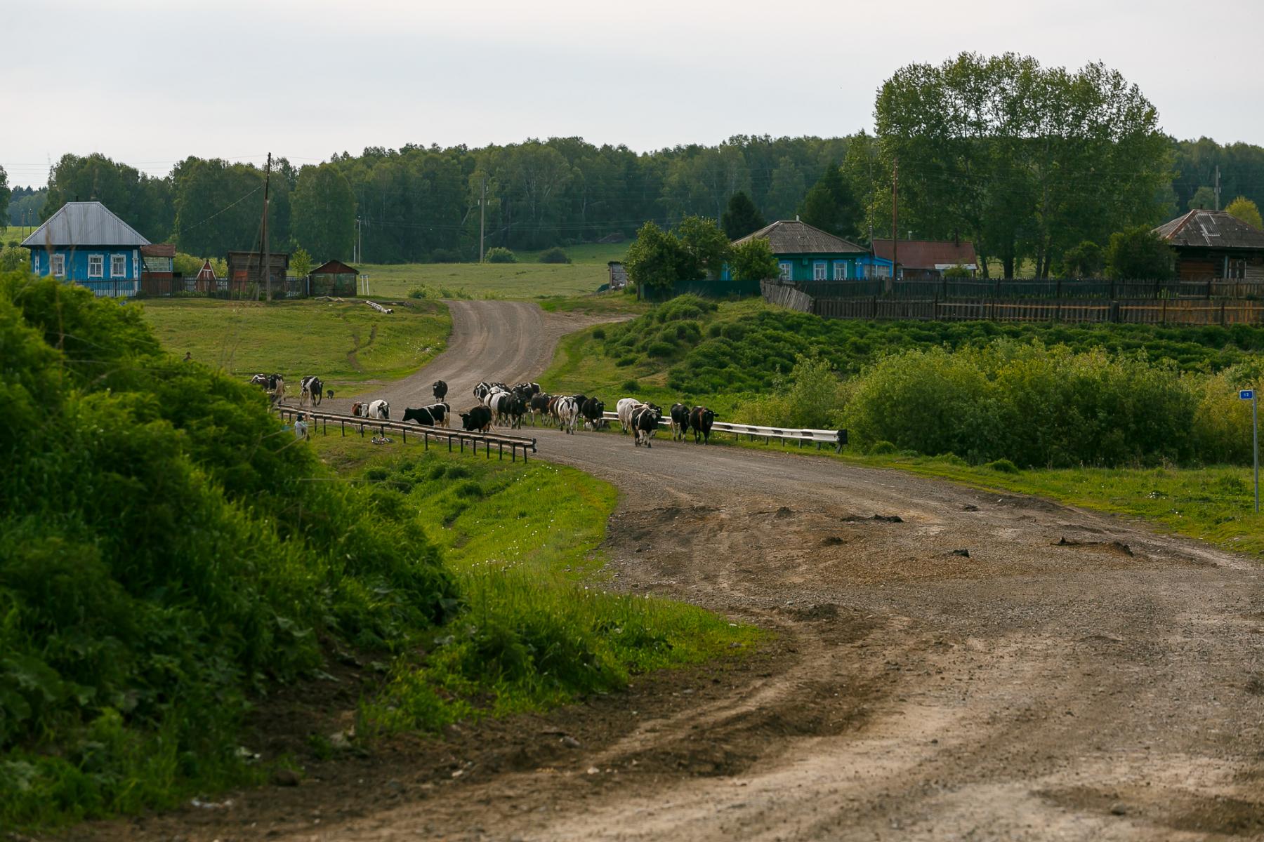 Сузун Новосибирская