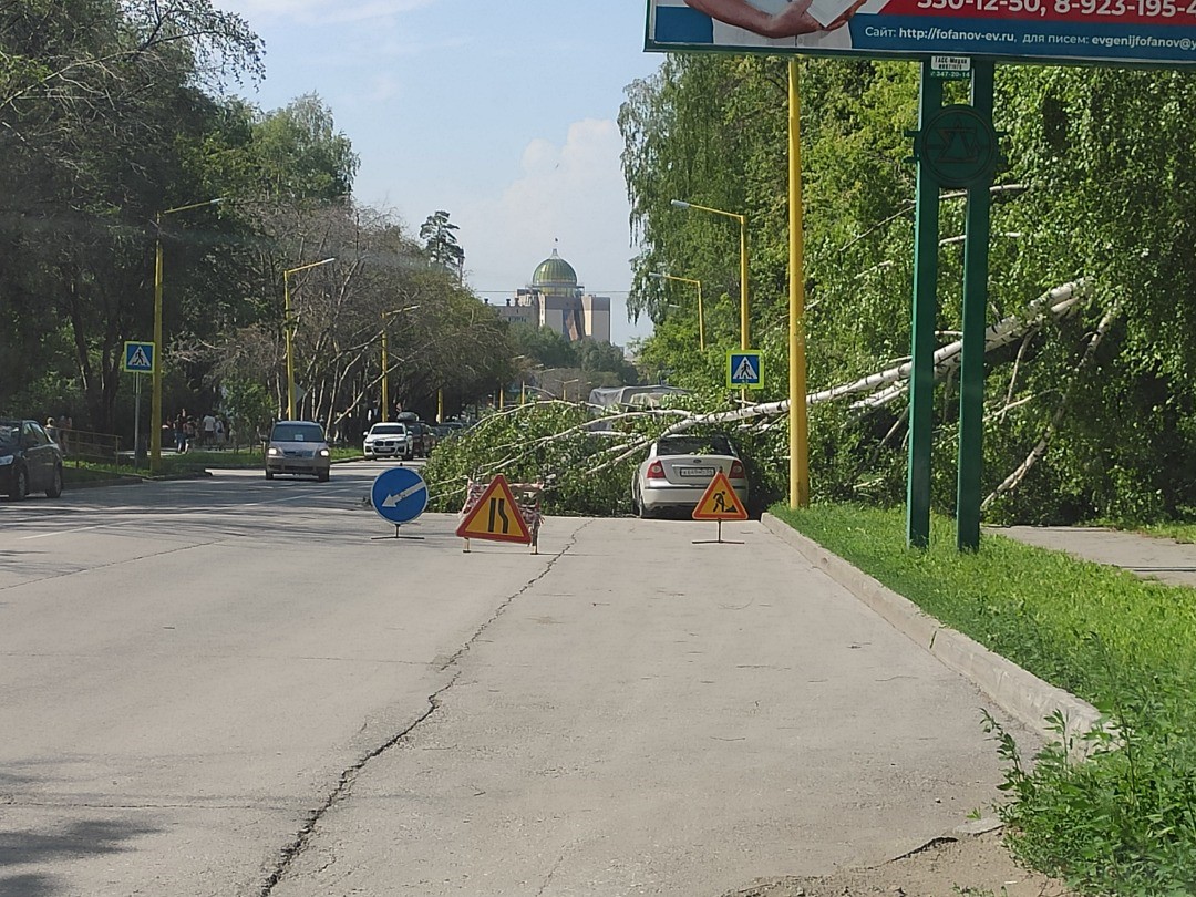 Дерево раздавило «Ладу» в Новокузнецке и убило двоих - 19 ноября - ntvplus-taganrog.ru