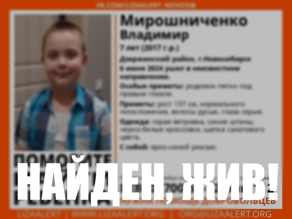 ЛизаАлерт»: в Новосибирске был найден пропавший ранее 7-летней ребенок