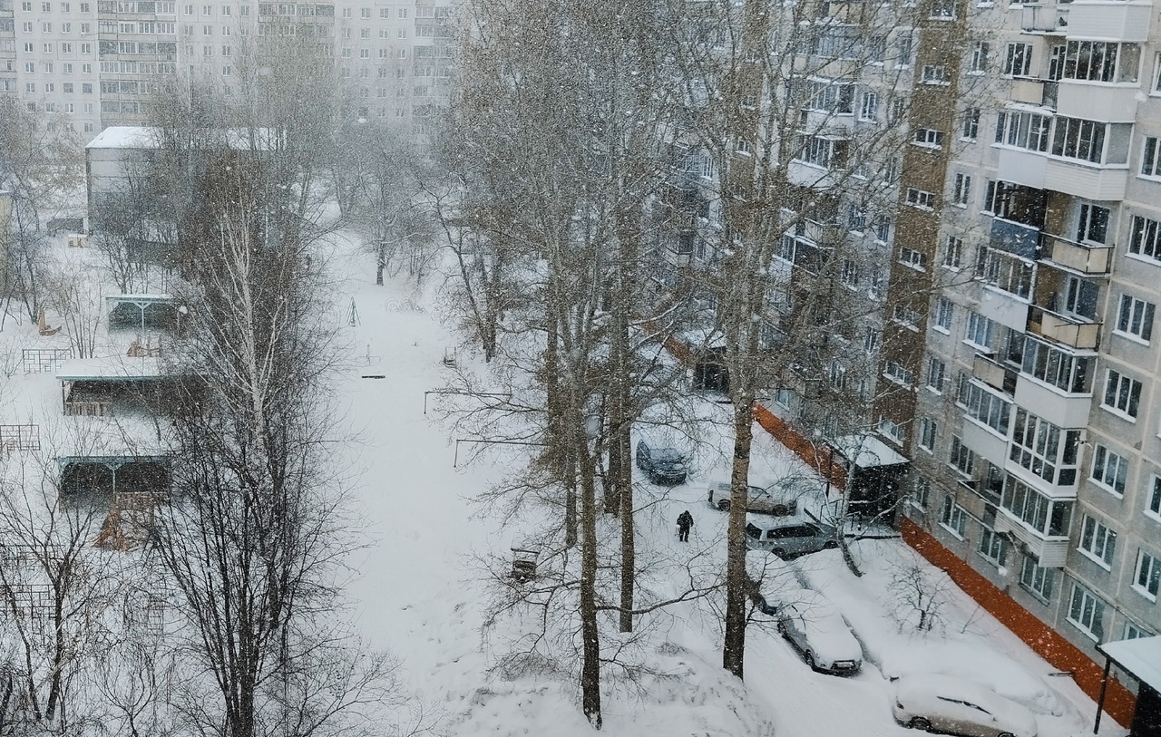 Мэрией Новосибирска было подсчитано число многоквартирных и частных домов в  городе