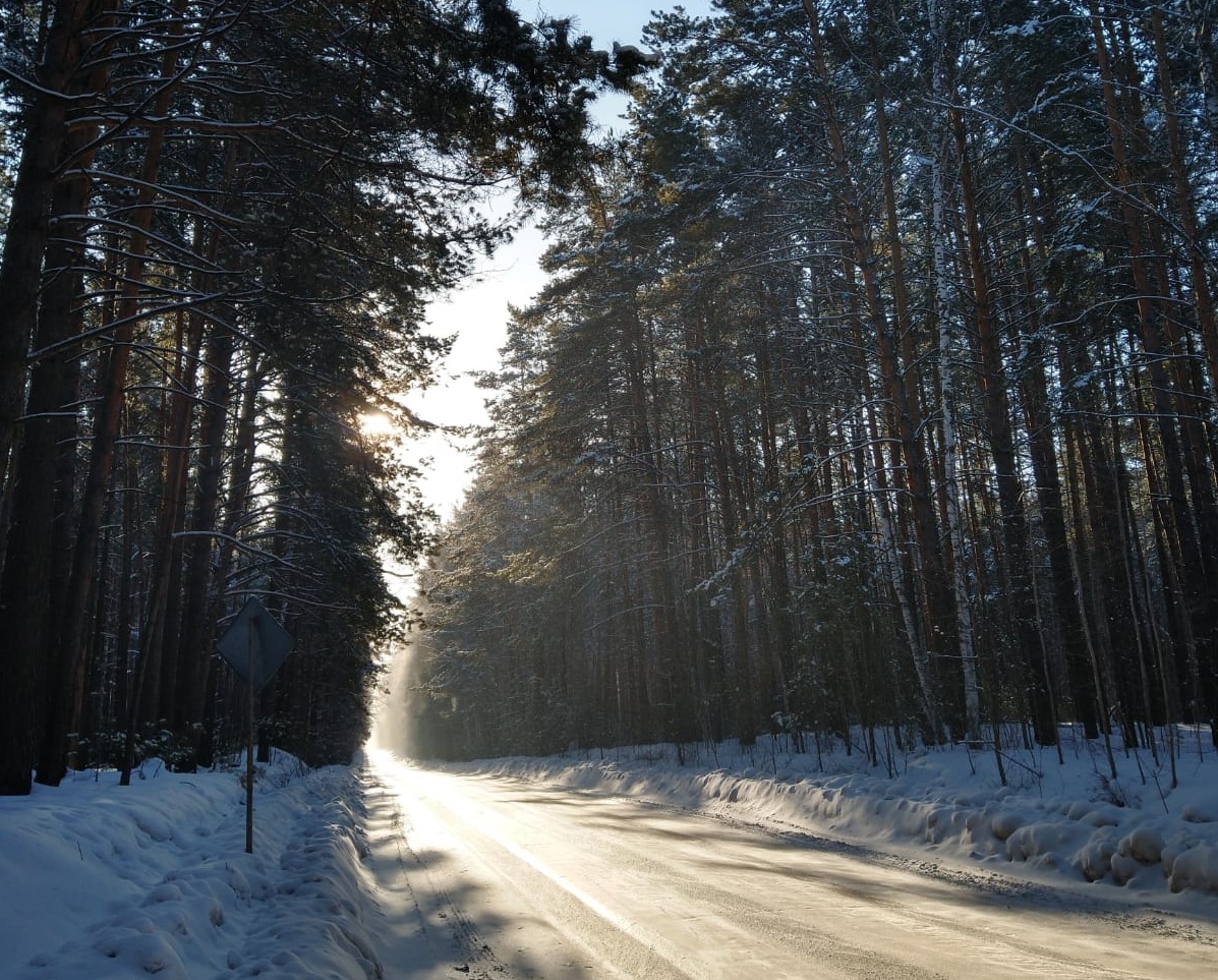 заельцовский парк зимой