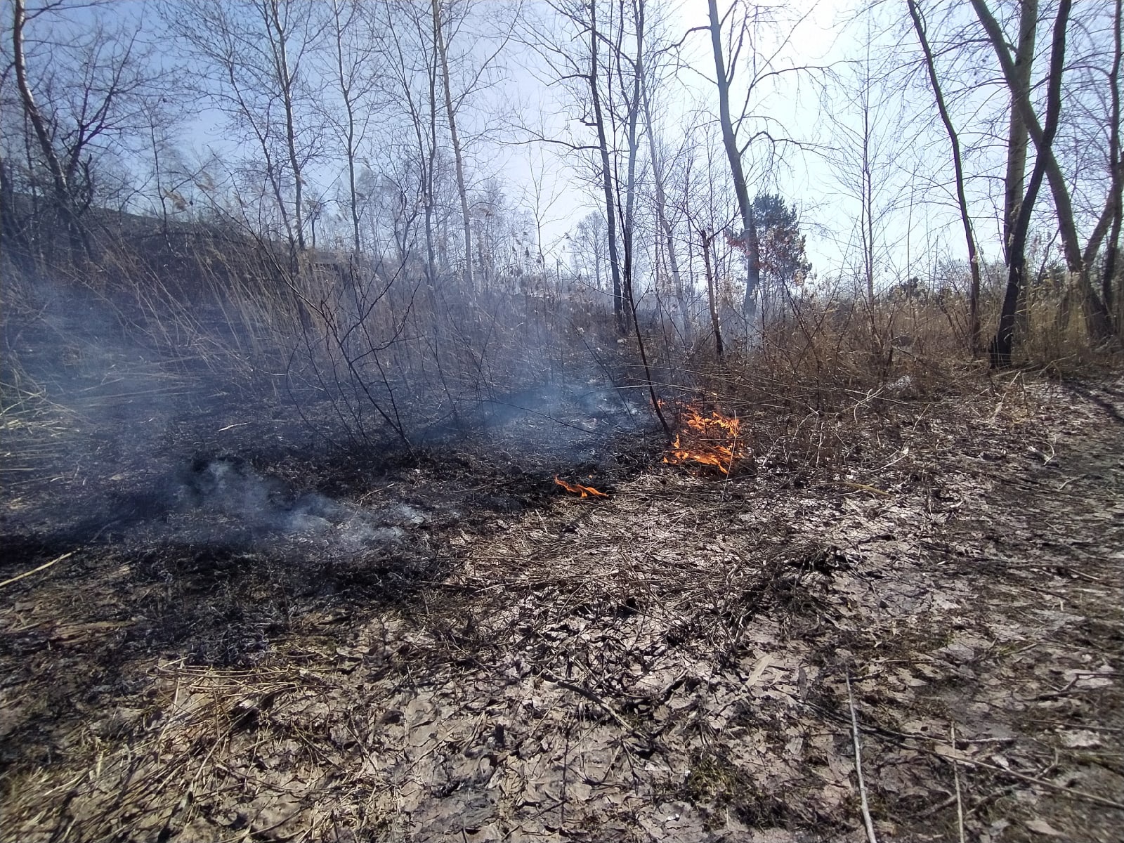 Пожароопасный период 2024 бурятия. Пожар в лесу. Ландшафтный пожар. Пожароопасность лесов. Лесной пожар фото.
