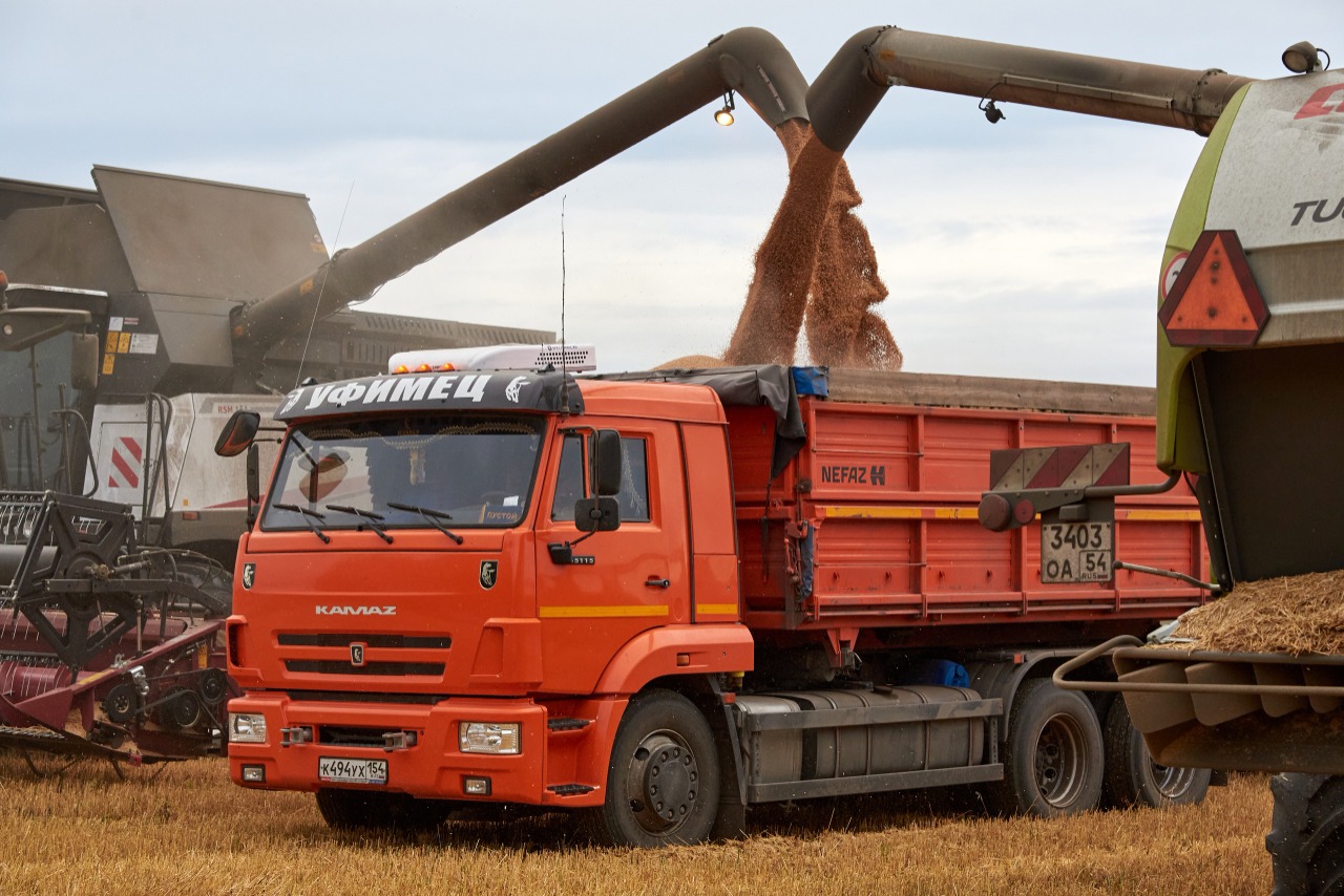 Новосибирская область в 1,5 раза нарастила объёмы экспорта зерна в Китай