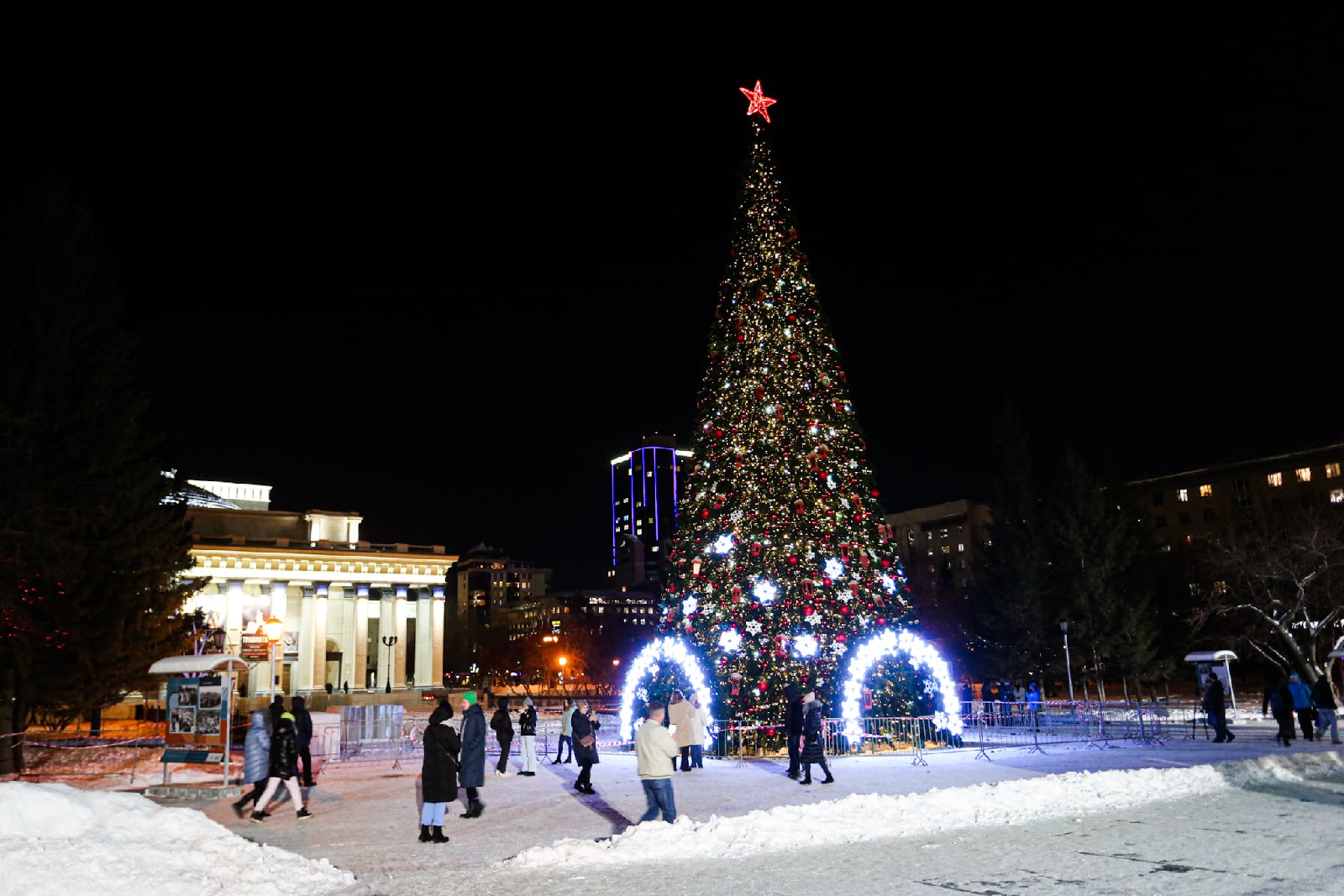 Елки нск