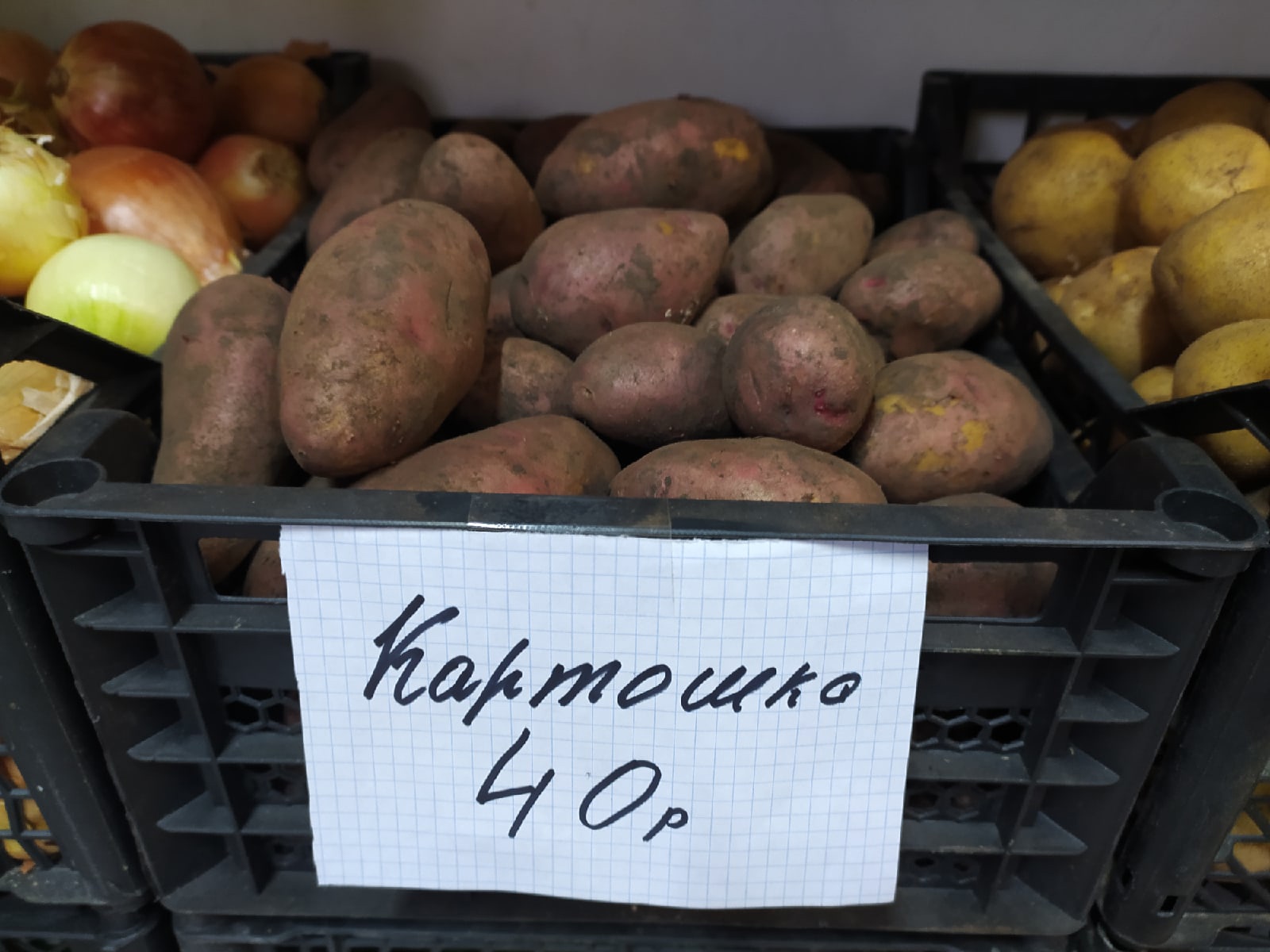 Самая крупная картошка в Москве фото