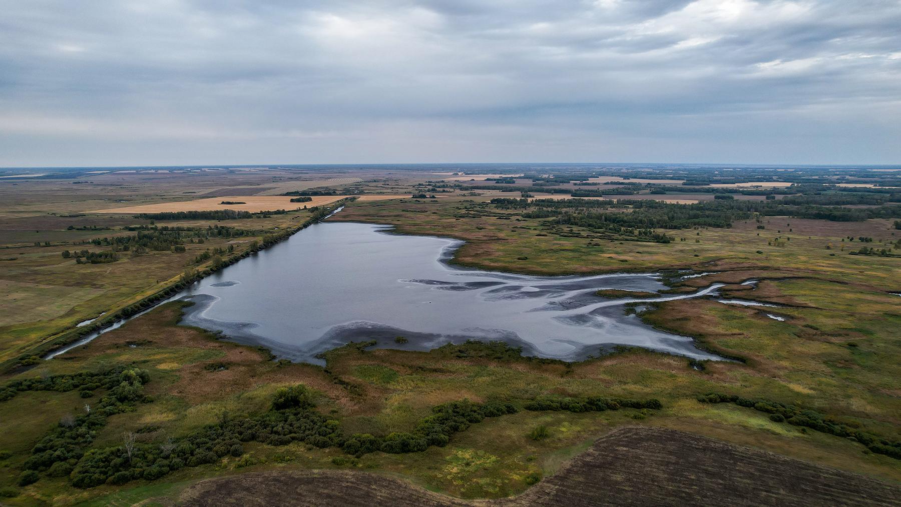 Кочки новосибирская область фото