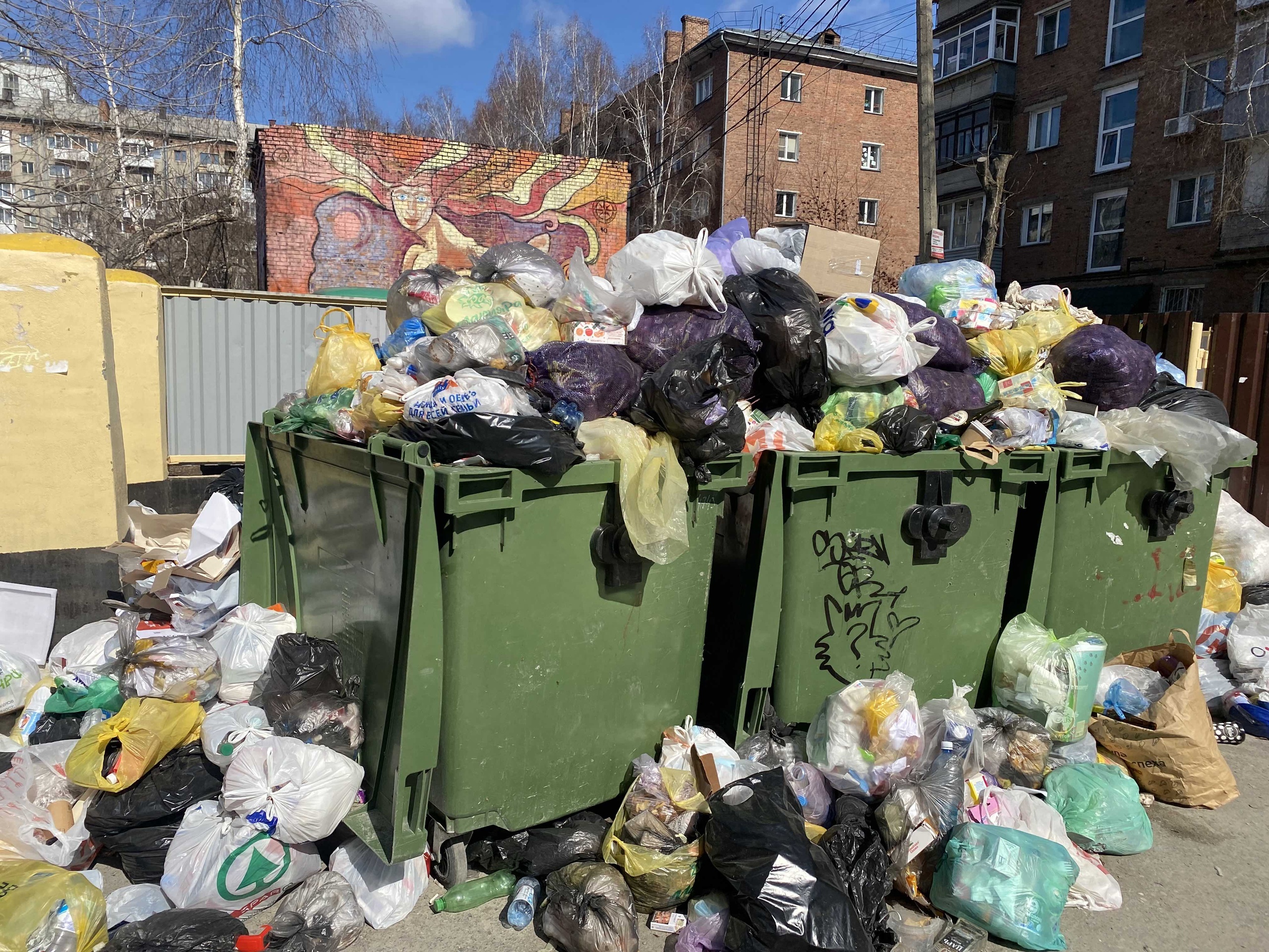 Выкинула ребенка в мусорку новосибирск. Экология мусорные баки Новосибирск. Мусорный контейнер с мусором. Мусорка в России.