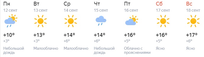 Прогноз новосибирск на 14 дней